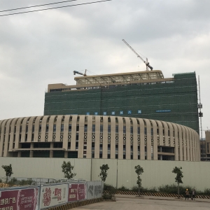 广西国际壮医医院