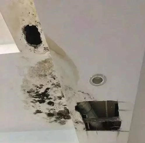 gypsum ceiling board deteriorated from mold and moisture damage